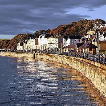 Snowdrop Filey