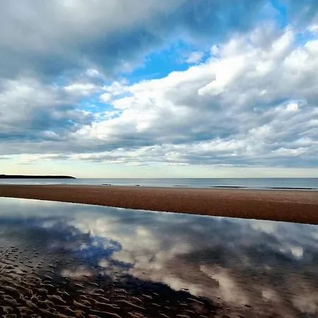 Snowdrop Filey
