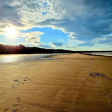 Tatil Evi Snowdrop *