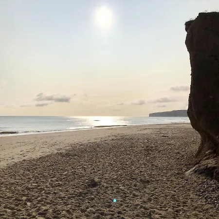 Tatil Evi Snowdrop *